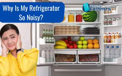 Why Is My Refrigerator So Noisy?
