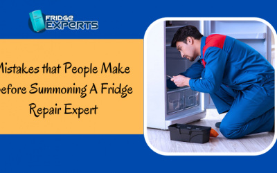 Mistakes that People Make Before Summoning A Fridge Repair Expert