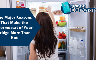 The Major Reasons That Make the Thermostat of Your Fridge More Than Hot