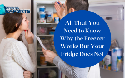 All That You Need to Know Why the Freezer Works But Your Fridge Does Not