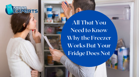 All That You Need to Know Why the Freezer Works But Your Fridge Does Not