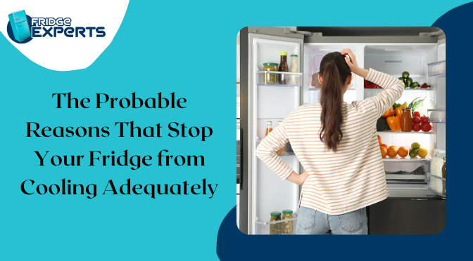 The Probable Reasons That Stop Your Fridge from Cooling Adequately