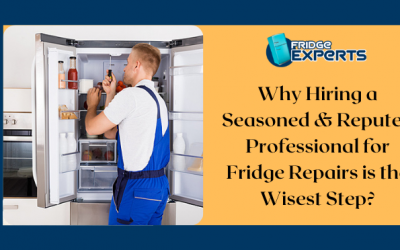 Why Hiring a Seasoned & Reputed Professional for Fridge Repairs is the Wisest Step?