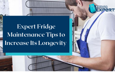 Expert Fridge Maintenance Tips to Increase Its Longevity
