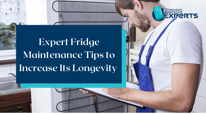 Expert Fridge Maintenance Tips to Increase Its Longevity