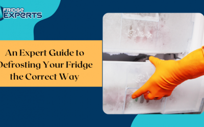 An Expert Guide to Defrosting Your Fridge the Correct Way