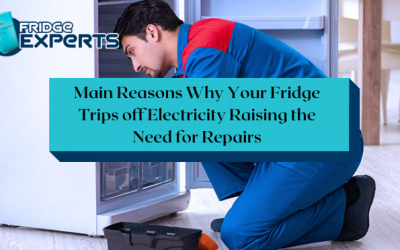 Main Reasons Why Your Fridge Trips off Electricity Raising the Need for Repairs