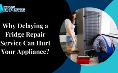 Why Delaying a Fridge Repair Service Can Hurt Your Appliance?