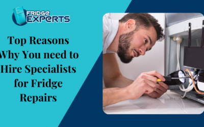 Top Reasons Why You need to Hire Specialists for Fridge Repairs