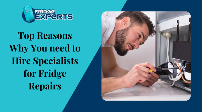 Top Reasons Why You need to Hire Specialists for Fridge Repairs