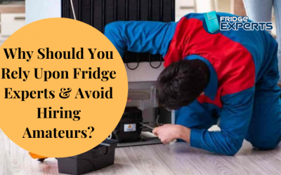 Why Should You Rely Upon Fridge Experts & Avoid Hiring Amateurs?