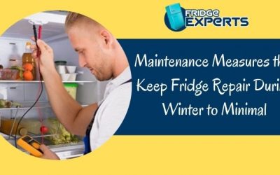 Maintenance Measures that Keep Fridge Repair During Winter to Minimal