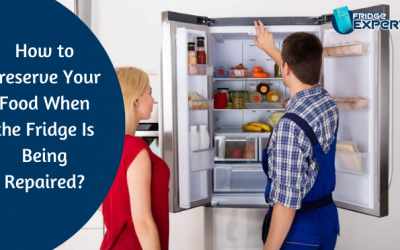 How to Preserve Your Food When the Fridge Is Being Repaired?