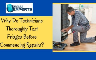 Why Do Technicians Thoroughly Test Fridges Before Commencing Repairs?