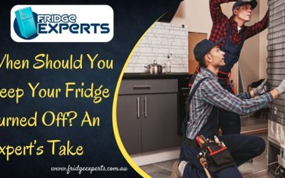 When Should You Keep Your Fridge Turned Off? An Expert’s Take