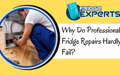 Why Do Professional Fridge Repairs Hardly Fail?