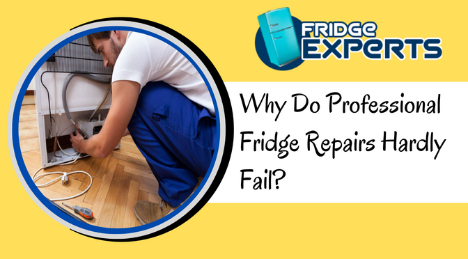 Why Do Professional Fridge Repairs Hardly Fail?