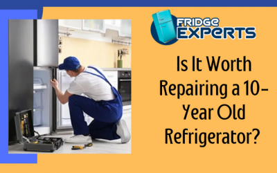 Is It Worth Repairing a 10-Year Old Refrigerator?