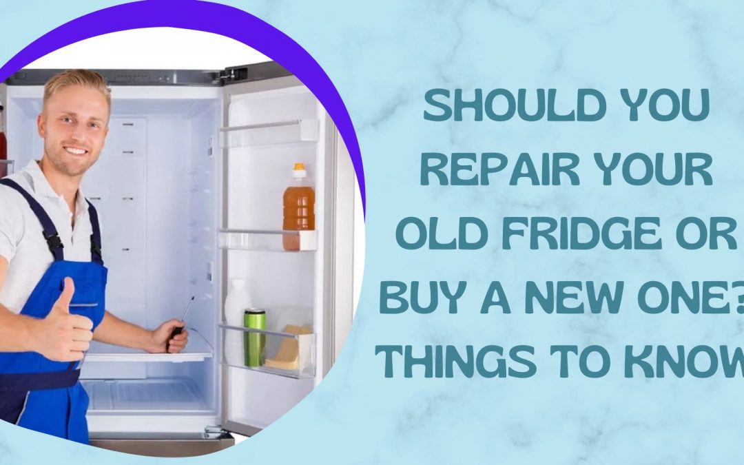 Should You Repair Your Old Fridge Or Buy A New One? Things To Know