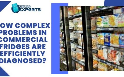 How Complex Problems in Commercial Fridges Are Efficiently Diagnosed?