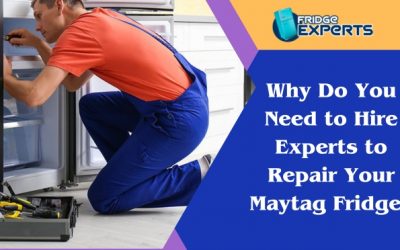 Why Do You Need to Hire Experts to Repair Your Maytag Fridge?