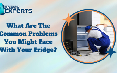 What Are The Common Problems You Might Face With Your Fridge?
