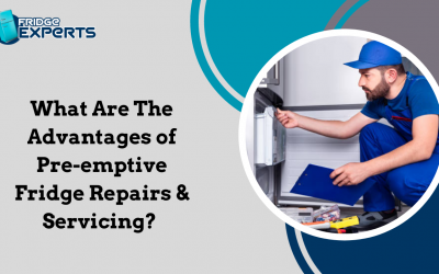 What Are The Advantages of Pre-emptive Fridge Repairs & Servicing?