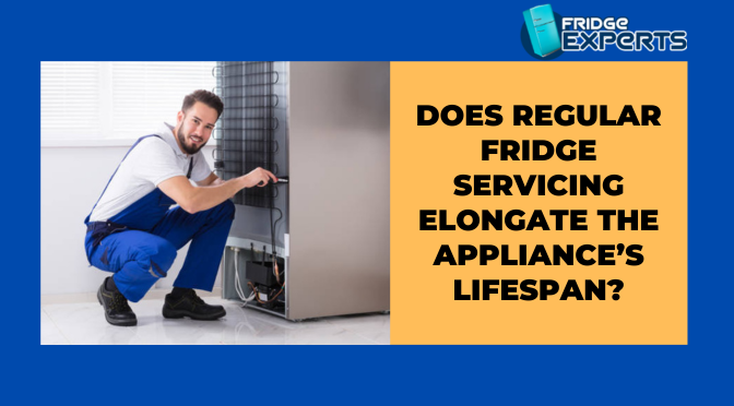 Does Regular Fridge Servicing Elongate the Appliance’s Lifespan?