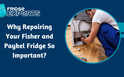 Why Repairing Your Fisher and Paykel Fridge So Important?